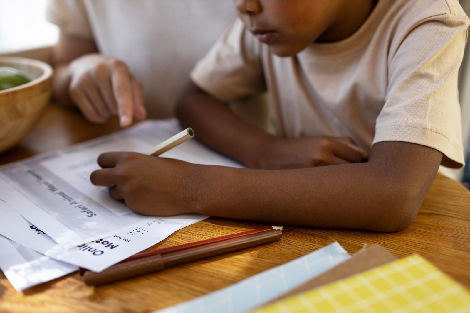 Programa de educación